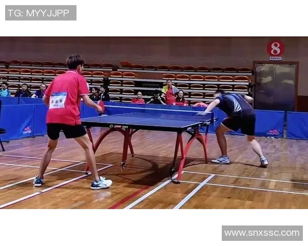 陈磊谈乒乓球生涯与成长历程的深刻反思与未来展望